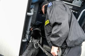 Django i Lila - policyjne psy szkoliły się w służbie